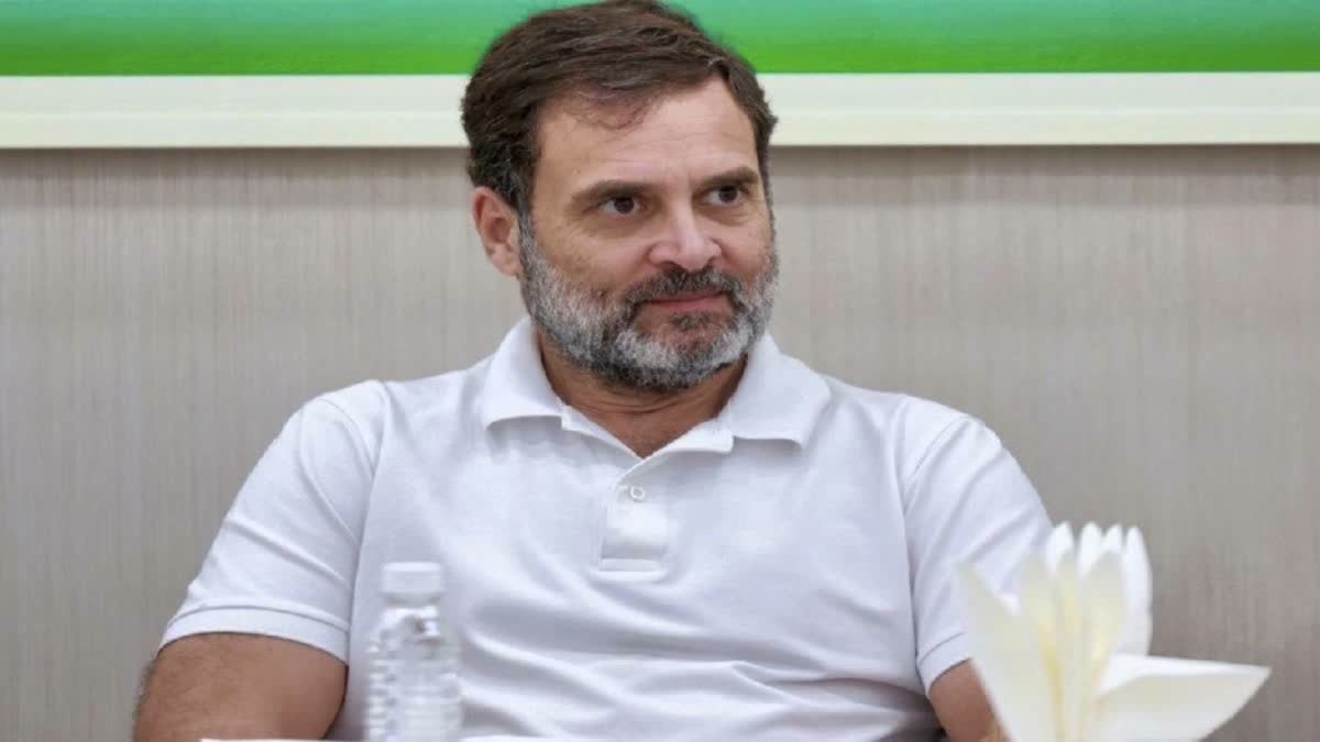 File photo of Rahul Gandhi.