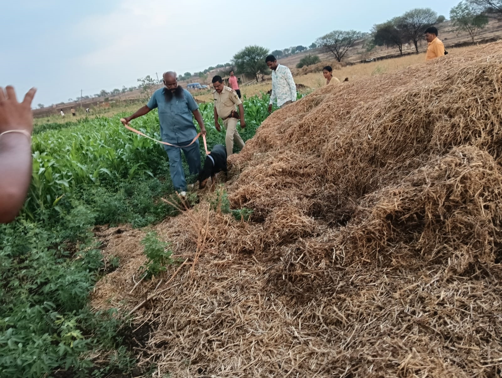 ganja-seized-by-police-in-bidar