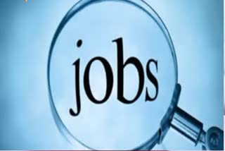 MEDICAL OFFICER RECRUITMENT 2025