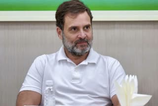 File photo of Rahul Gandhi.