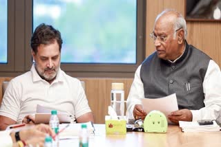 कांग्रेस नेता राहुल गांधी और पार्टी अध्यक्ष मल्लिकार्जुन खड़गे (फाइल फोटो)