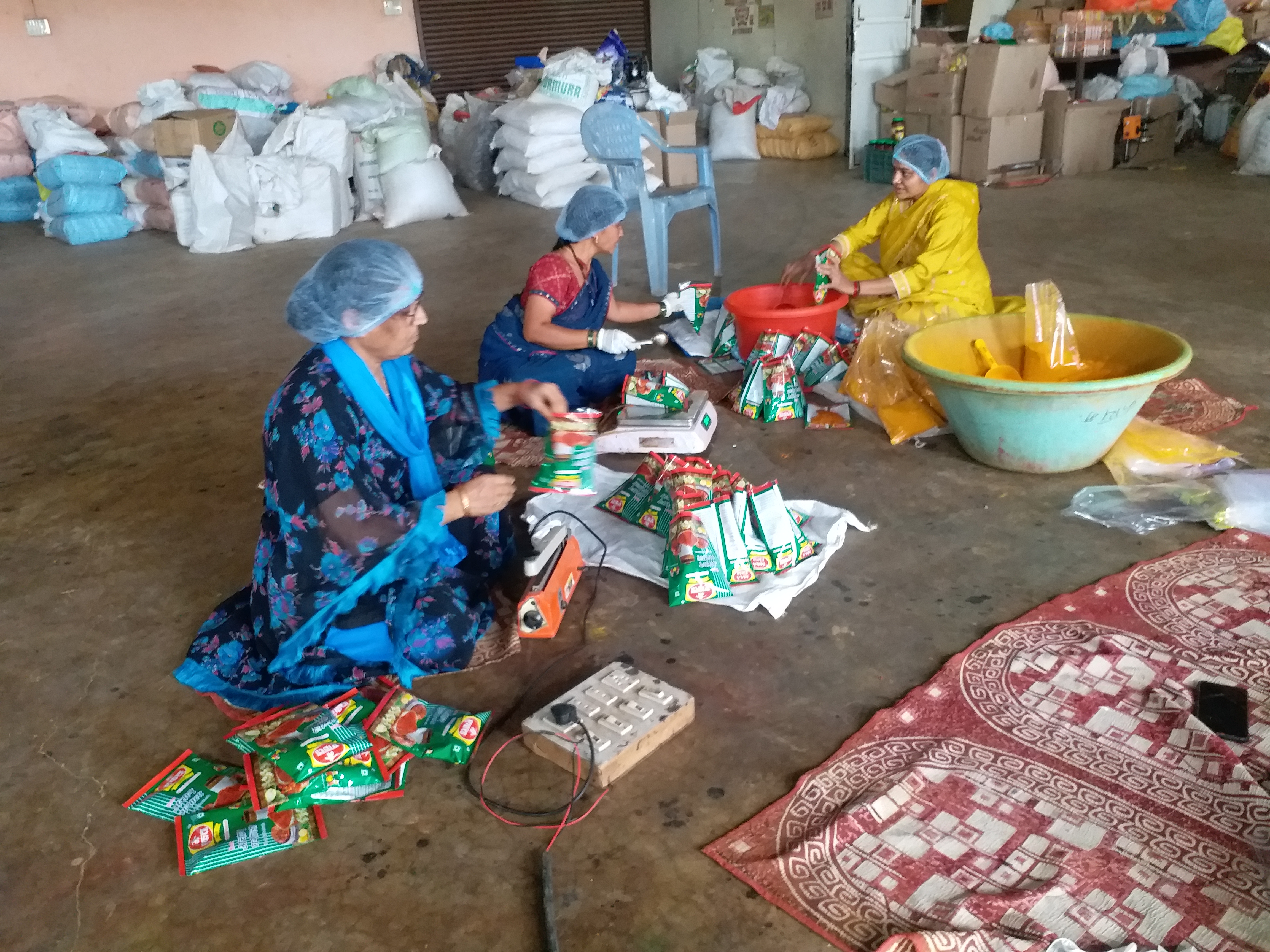 Turmeric Cultivation in burhanpur