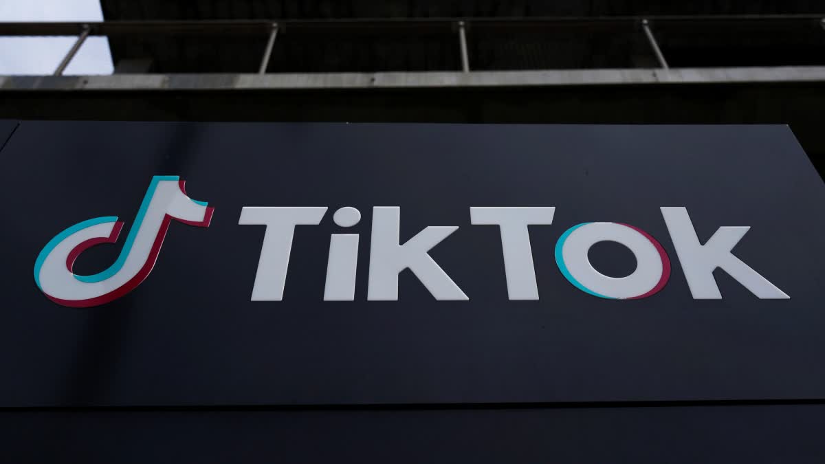 TikTok US House