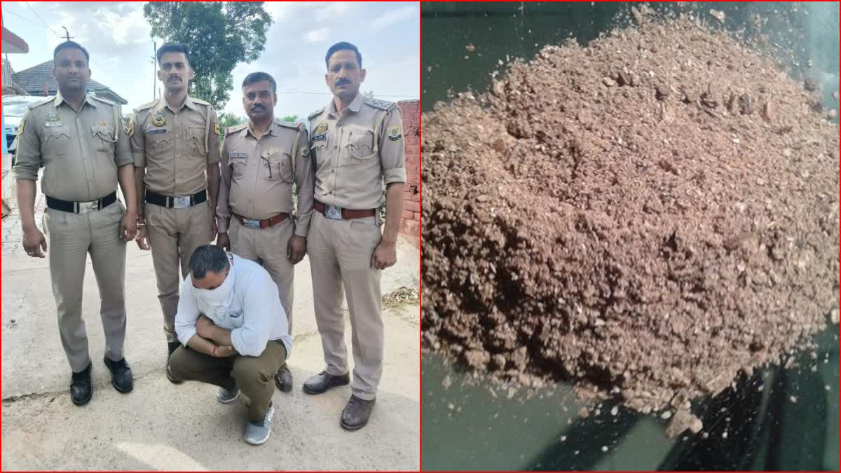 Poppy Straw Recovered from HRTC Volvo Bus Driver in Mandi