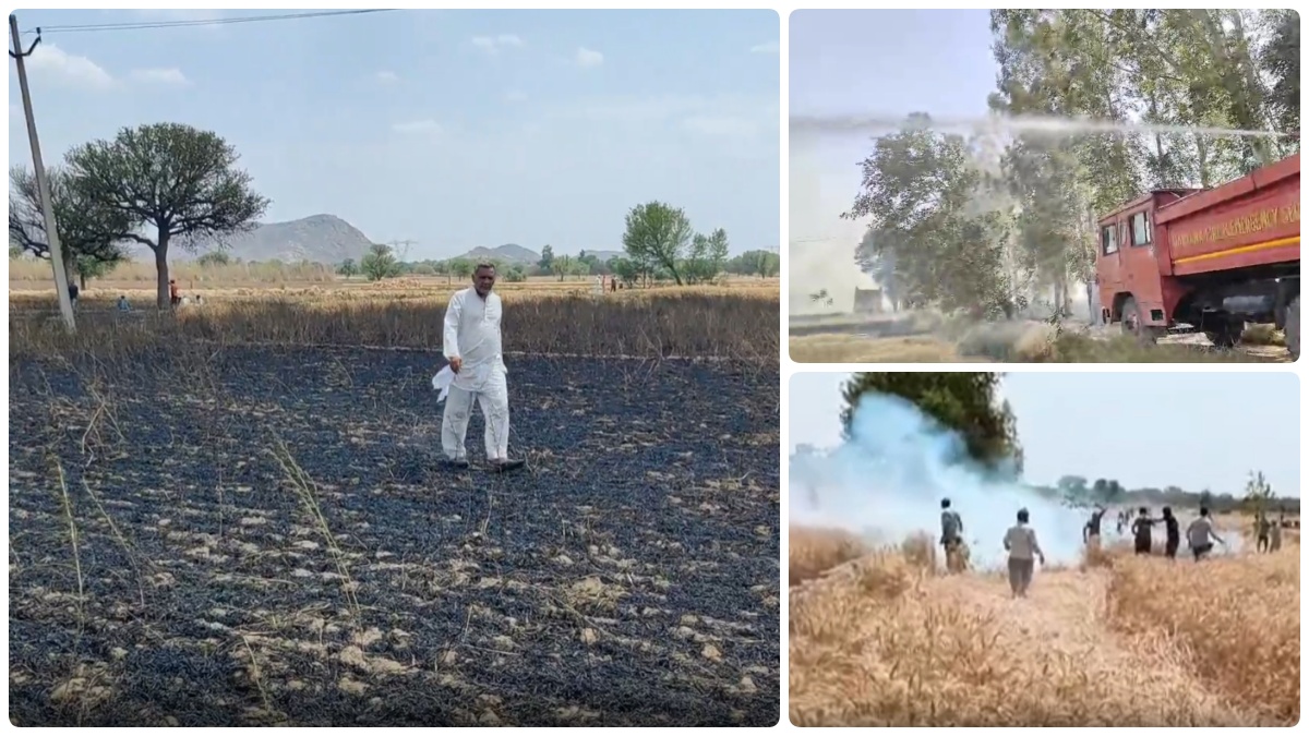 Crop Fire in Haryana