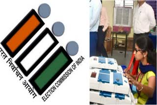 Disabled Persons In Election Duties