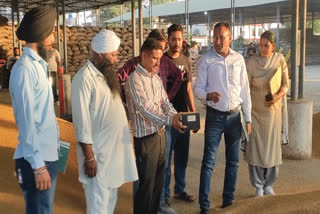 Special arrangements for arrival of wheat in Dana Mandi Garhshankar, SDO reviewed