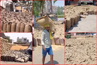 Wheat Procurement In Haryana