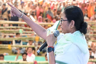 West Bengal Chief Minister Mamata Banerjee on Sunday alleged that the BJP is targeting her and her nephew and TMC national general secretary Abhishek Banerjee and they do not feel safe.
