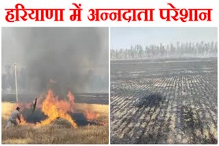 Crop Fire in Haryana