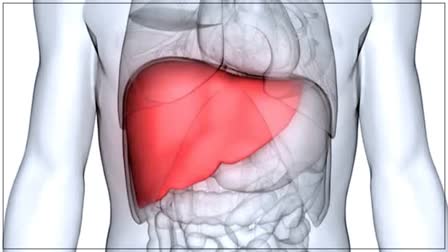 World Liver Day