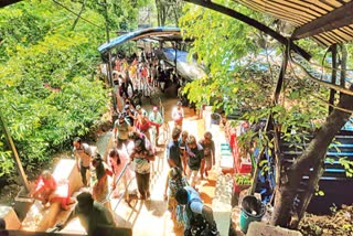 ttd_not_issuing_divya_darshan_tokens_at_alipiri_footsteps