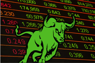 Stock Market