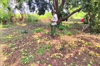 Damage Crops in joint Anantapur District