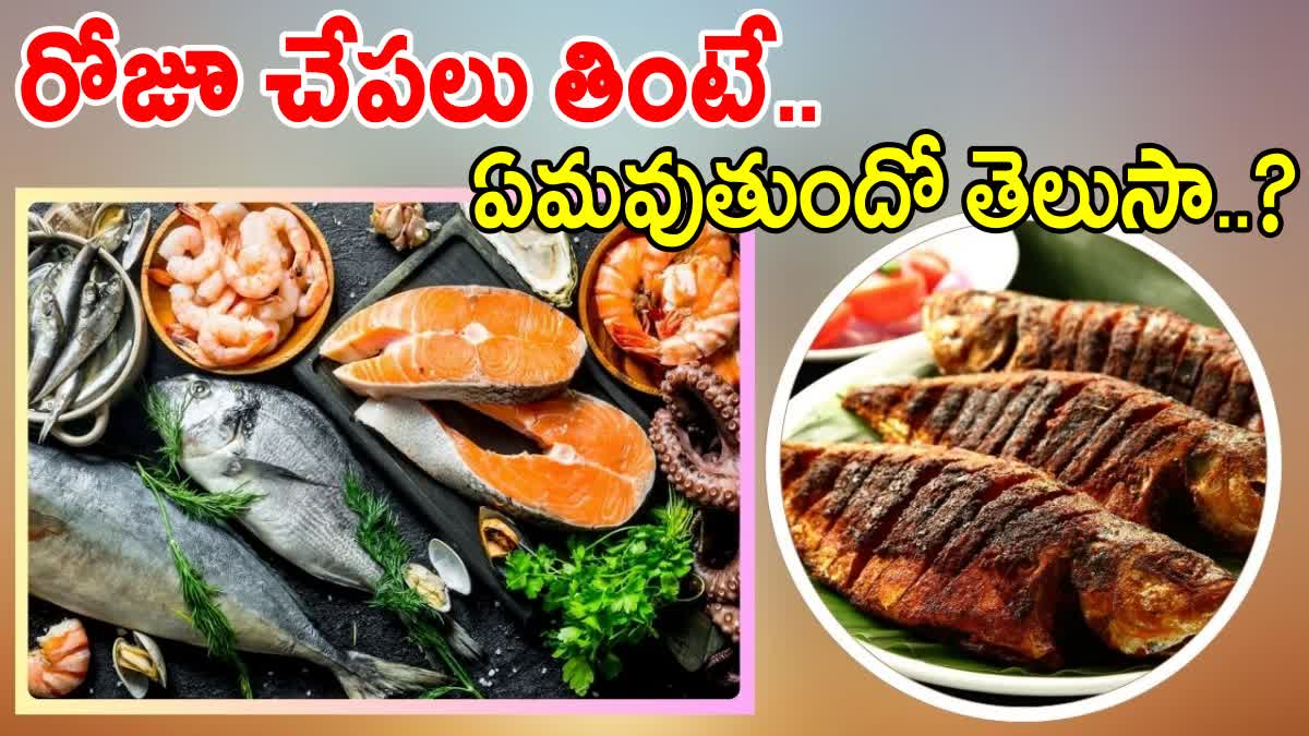 Eating Fish Daily Benefits and Risks