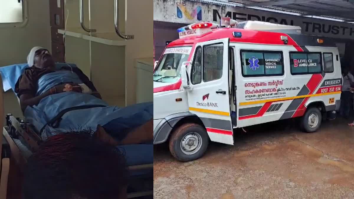 ജീപ്പിന് മുകളിൽ മരം വീണു  രണ്ട് പേർക്ക് പരിക്ക്  ACCIDENT  ഇടുക്കി