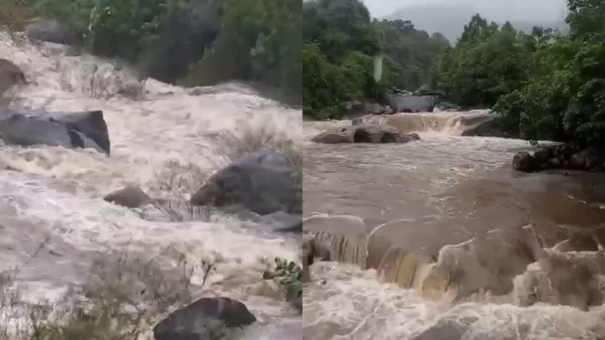 ഇരുവഞ്ഞിപ്പുഴയിൽ മലവെള്ളപ്പാച്ചിൽ  RAIN ALERT IN KERALA  കോഴിക്കോട്  FLASH FLOOD IN IRUVANJI RIVER