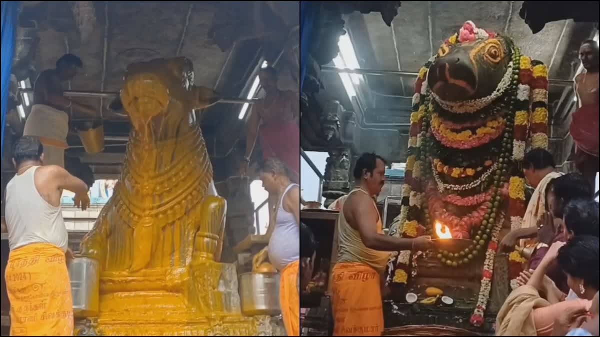 Nandivarman in special abhishekam