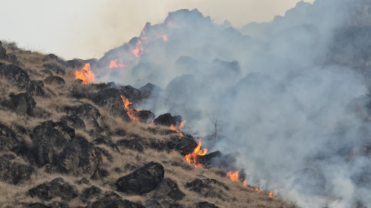 Heat wave in jammu Province many fire incidents reported