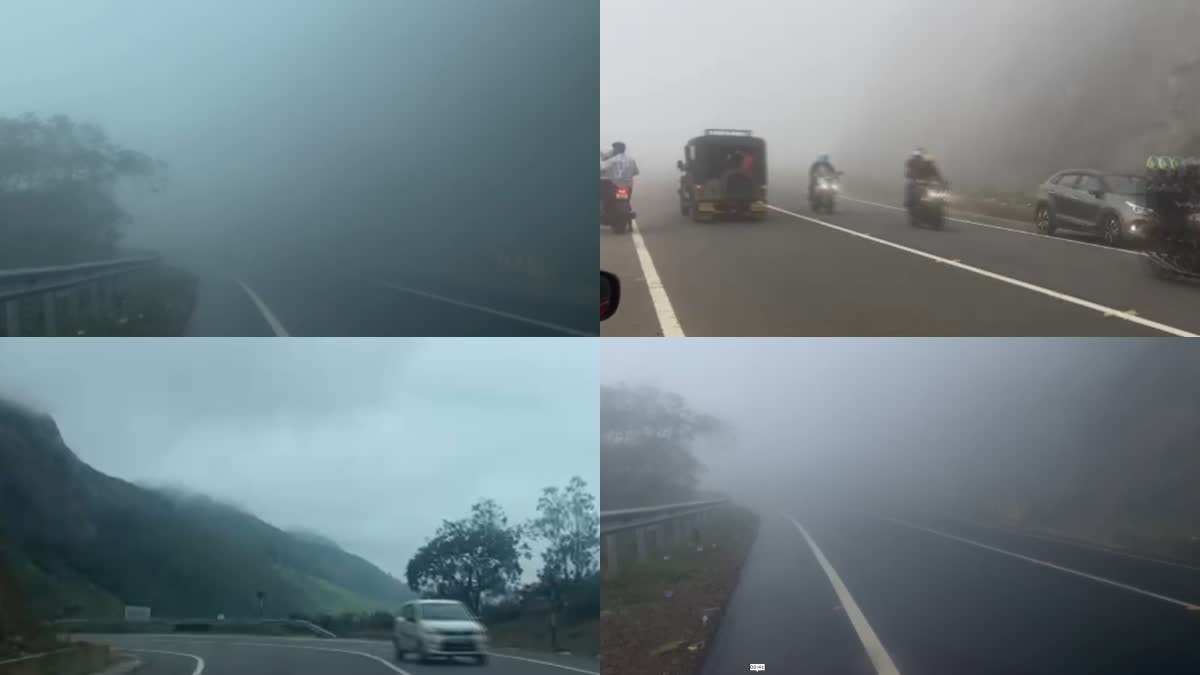 ഇടുക്കിയിൽ മൂടൽ മഞ്ഞ്  SHALLOW FOG IN IDUKKI  SHALLOW FOG IN HILL AREAS  ഇടുക്കി മഞ്ഞ്