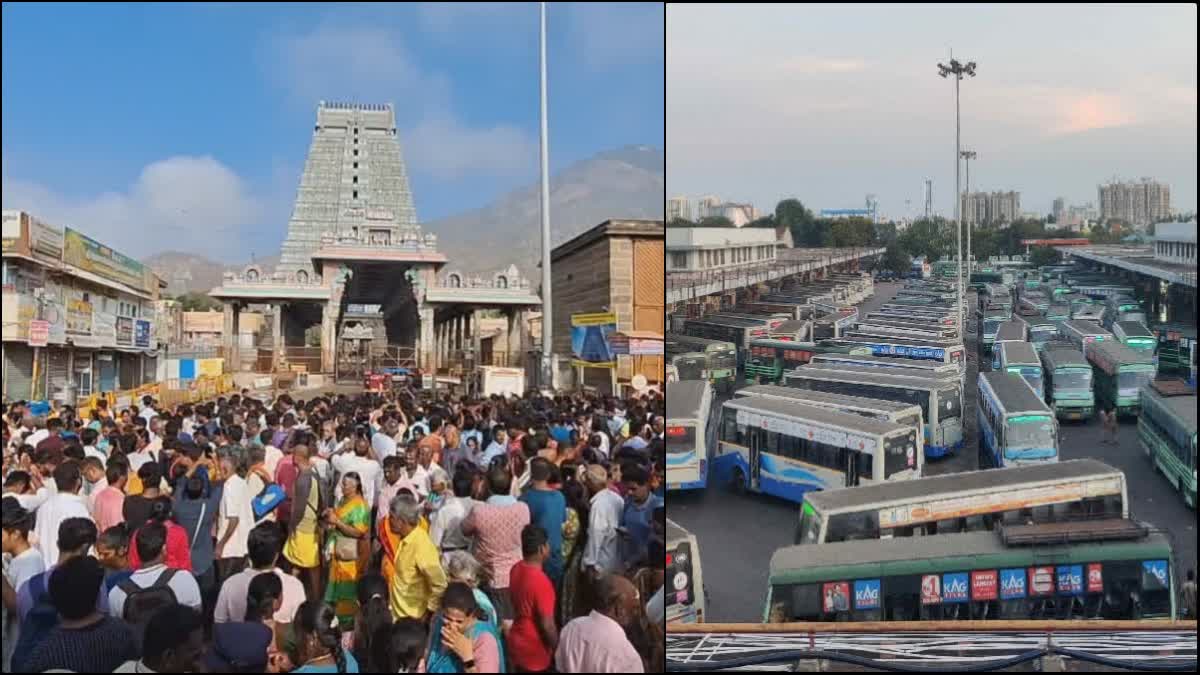 திருவண்ணாமலை மற்றும் சிறப்பு பேருந்துகள் புகைப்படம்