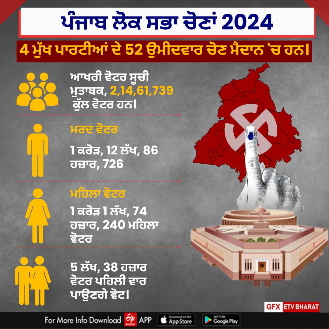 Lok Sabha Election Political Expressions