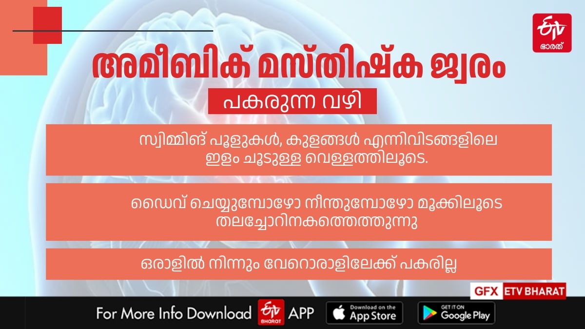 അമീബിക് മസ്‌തിഷ്‌ക ജ്വരം  അമീബിക് മസ്‌തിഷ്‌ക ജ്വരം ലക്ഷണം  WHAT IS AMEBIC ENCEPHALITIS  AMEBIC ENCEPHALITIS SYMPTOMS