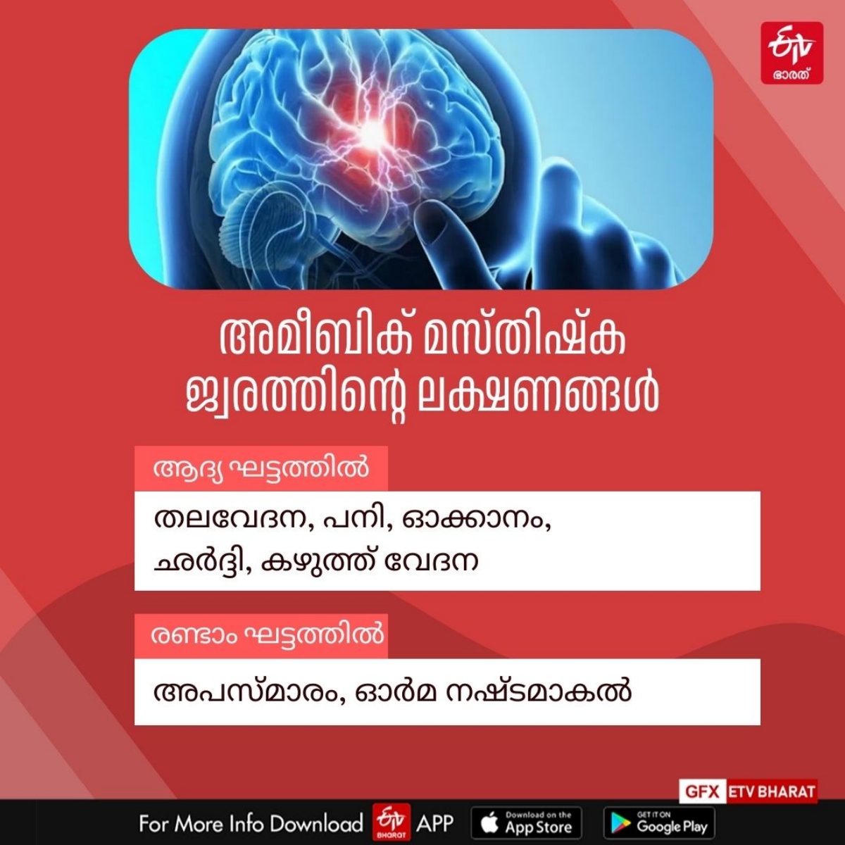 അമീബിക് മസ്‌തിഷ്‌ക ജ്വരം  അമീബിക് മസ്‌തിഷ്‌ക ജ്വരം ലക്ഷണം  WHAT IS AMEBIC ENCEPHALITIS  AMEBIC ENCEPHALITIS SYMPTOMS