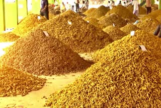 Turmeric Price Hits High In Nizamabad