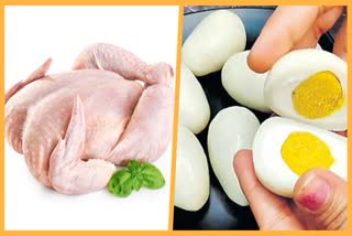 chicken_vs_egg
