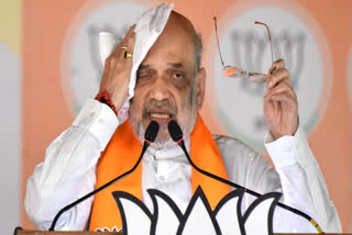 Union Home Minister Amit Shah while addressing two election rallies in Sambalpur said that this time lotus, BJP's party symbol, will bloom in Odisha.