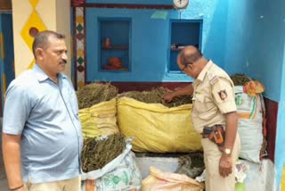 Ganja Seized in Kurnool District