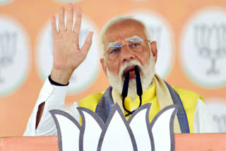 Prime Minister Narendra Modi said on Tuesday the opposition Congress and the Samajwadi Party have competed in the appeasement of their vote bank and called both parties "anti-development".