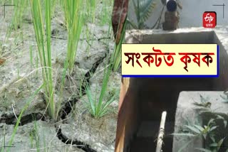 1585 out of 3919 irrigation projects of assam have failed