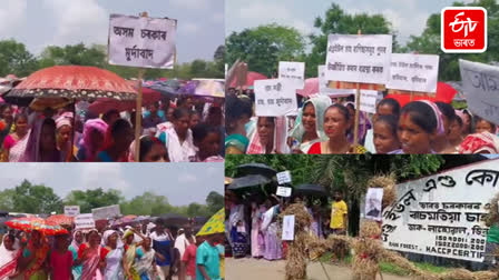 Protest In Tea Estate