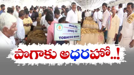 Tobacco Price Rise in Andhra Pradesh