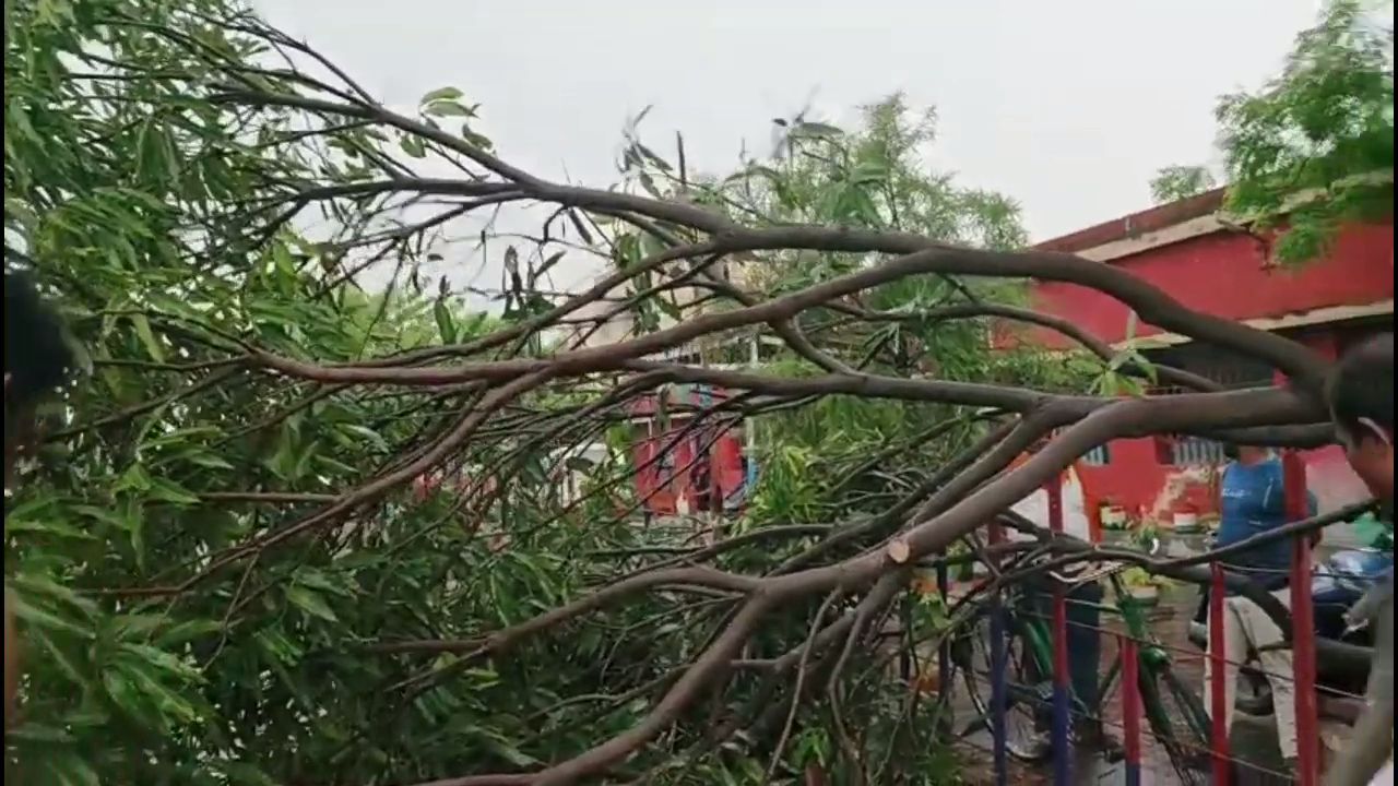 Rain In Masaurhi