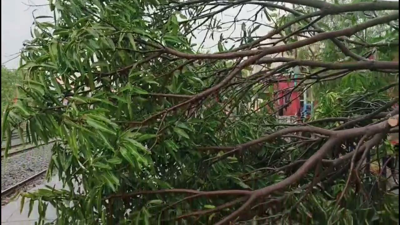 Rain In Masaurhi