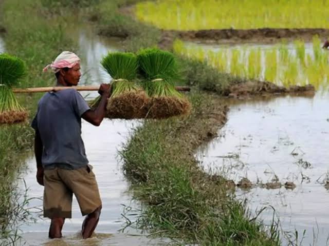 1585 out of 3919 irrigation projects of assam have failed