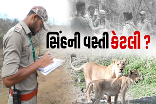 આ વખતે 891 જેટલા સિંહ ગીર અને સૌરાષ્ટ્રમાં નોંધાયા