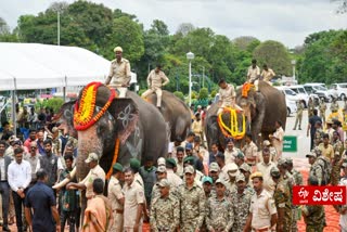 KUMKI ELEPHANTS