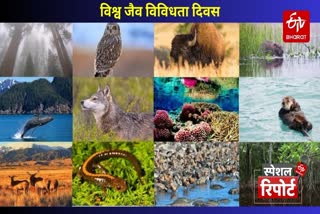 Photo Credit- ETV Bharat