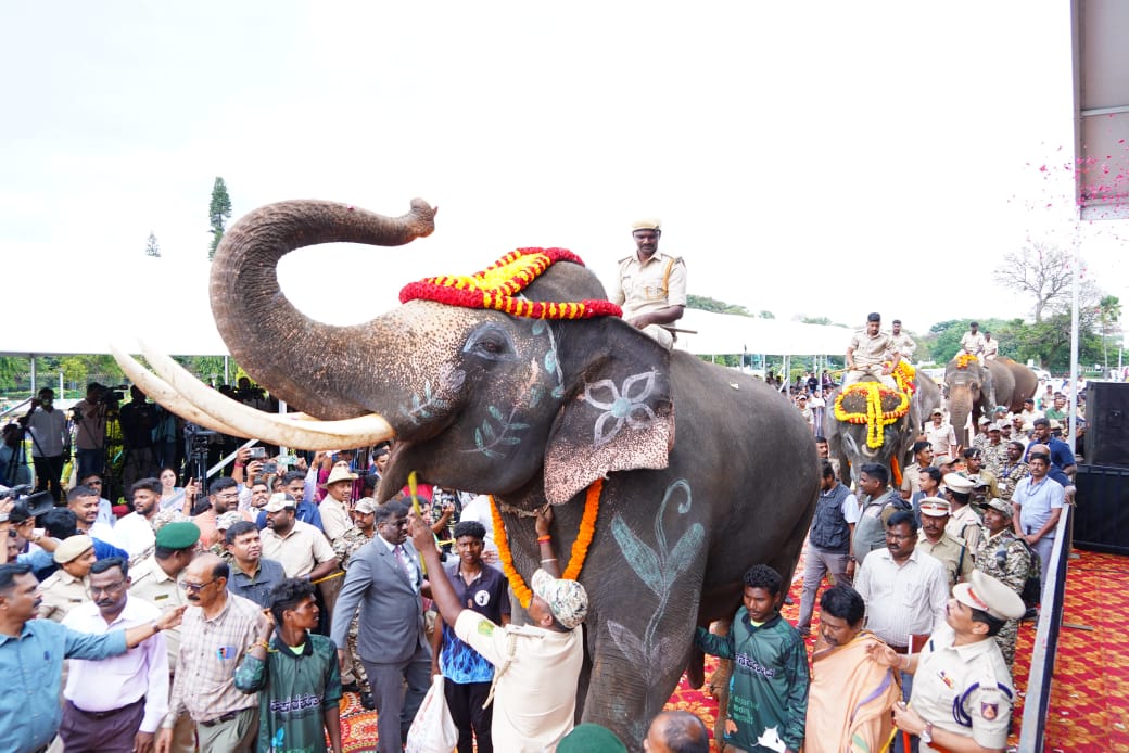 Kumki elephants