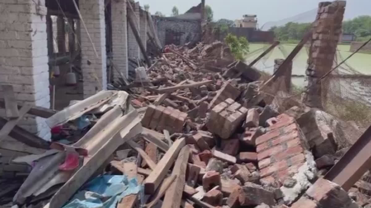 Poultry farm shed collapsed due to strong storm, 3 thousand chicks died in Gurdaspur