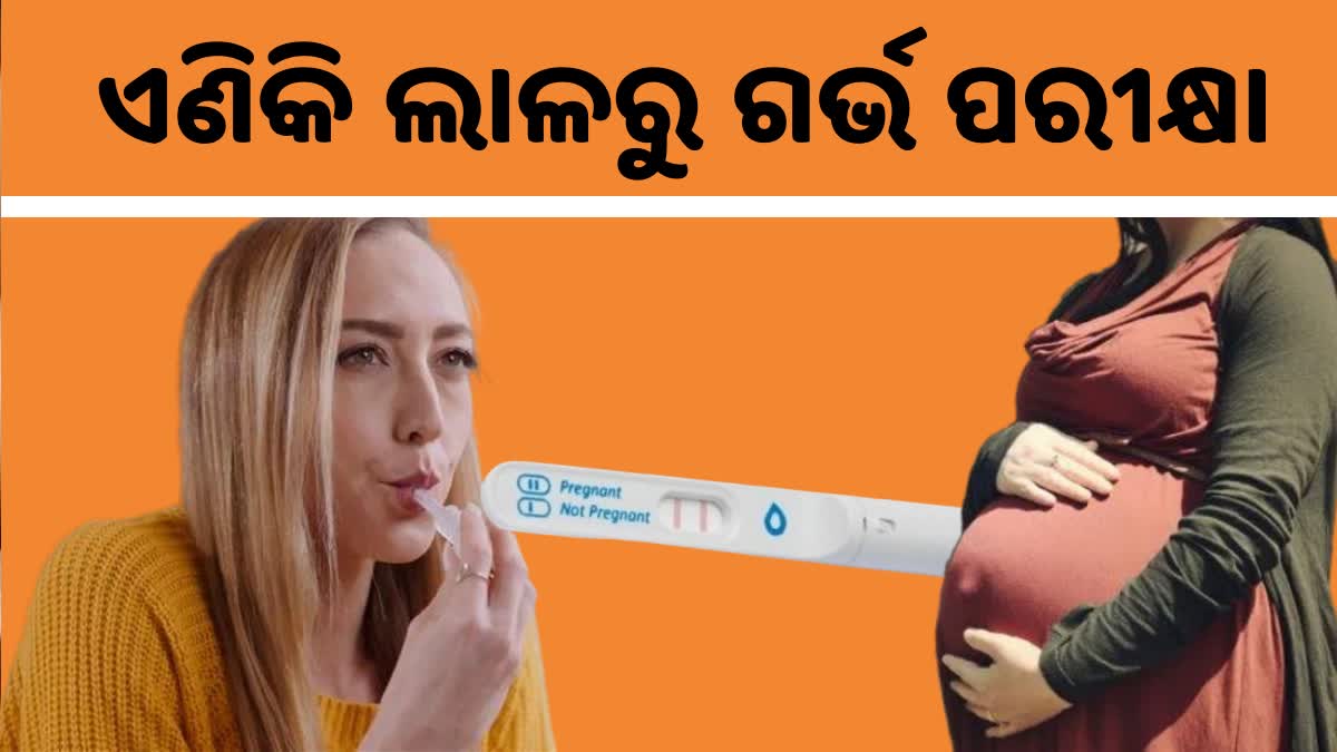 ୍ିpregnancy testing kit SaliStick