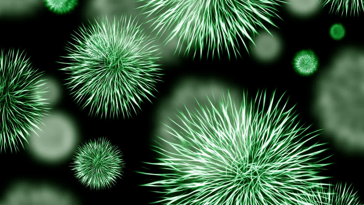 Researchers discover critical factors that determine survival of airborne viruses