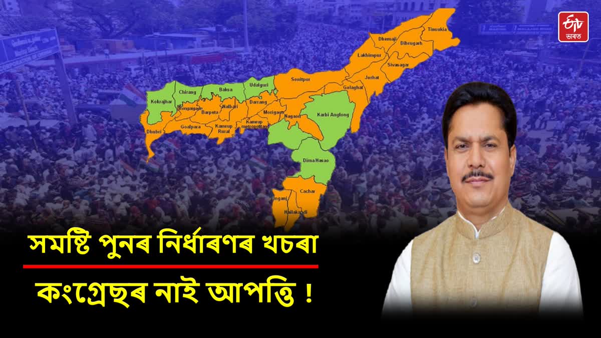 Assam constituency delimitation