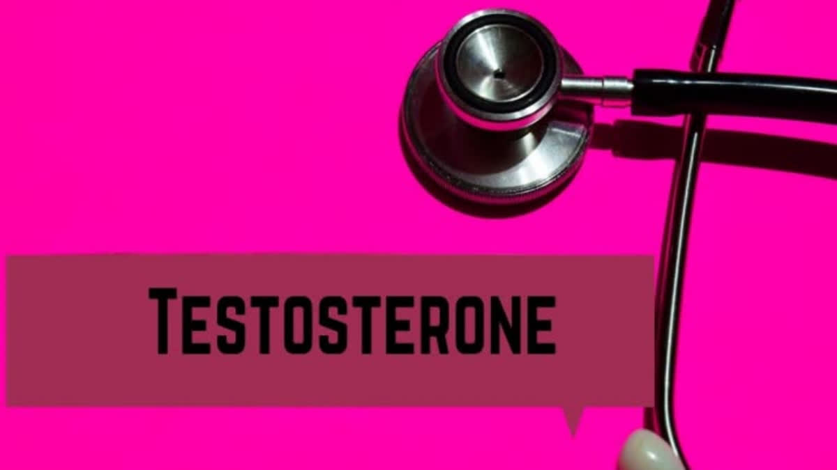 Study reveals testosterone's effects on brain change, levels are higher during adolescence