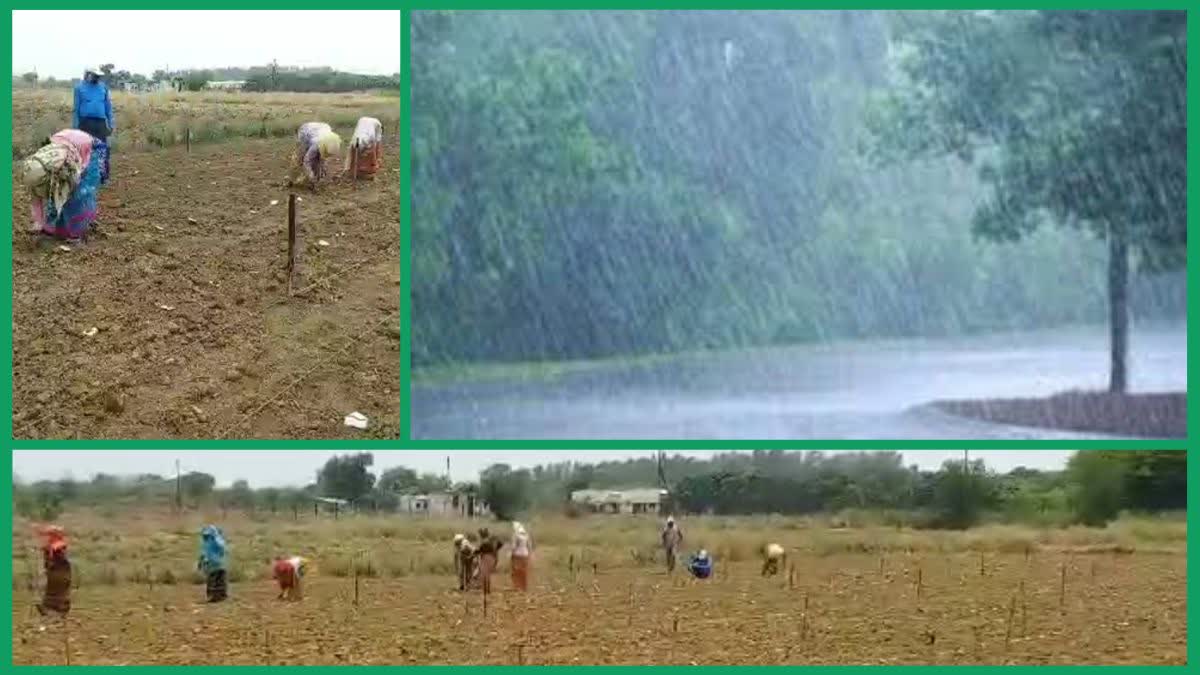 Monsoon in Chhattisgarh