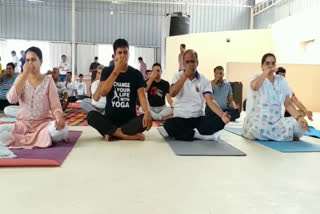 international yoga-day celebration